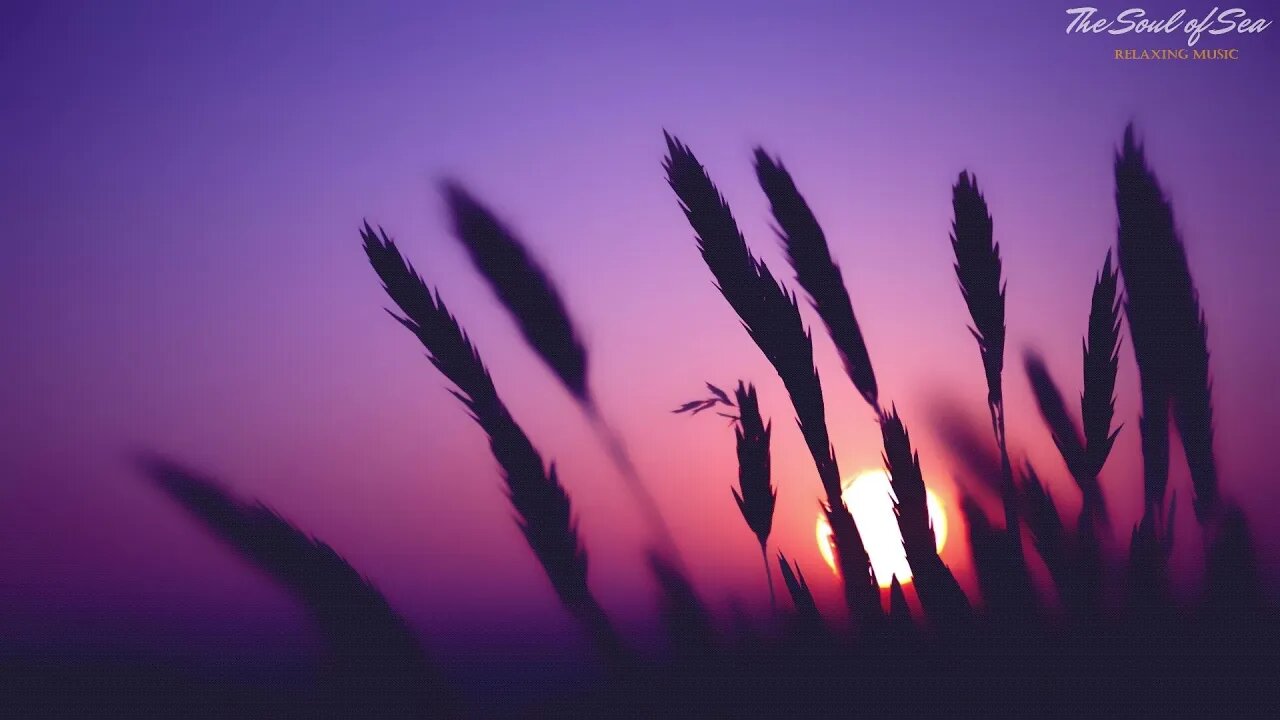 Sleep and Relaxation Nature Sounds, Crickets Summer Night Sleep Music