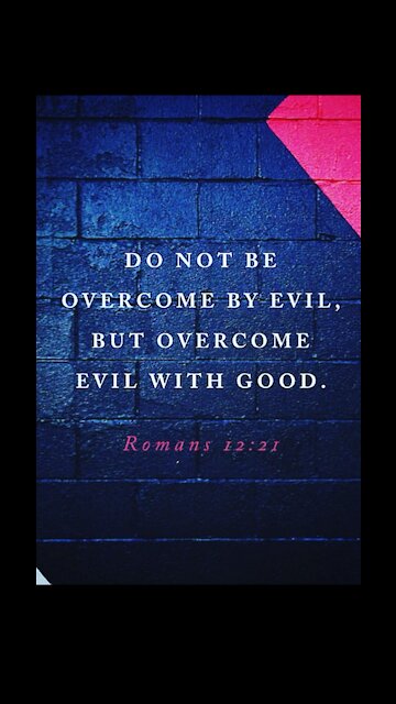 MemeSplash | TrumpWon 2020