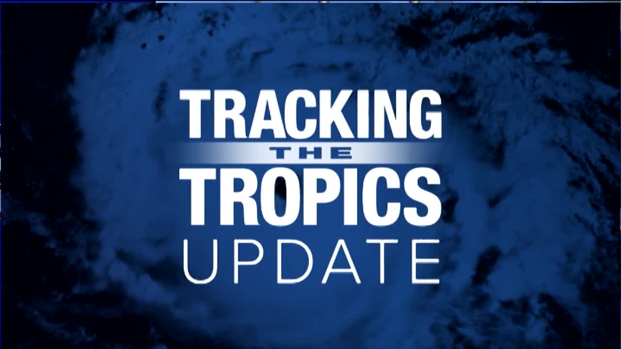 Tracking the Tropics | November 20 evening update