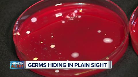 Which everyday items have the most bacteria that could make your family sick?