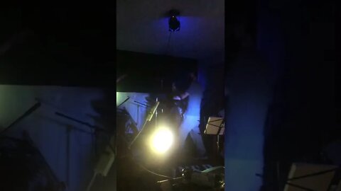 Metal bands, chickens, and rabbits