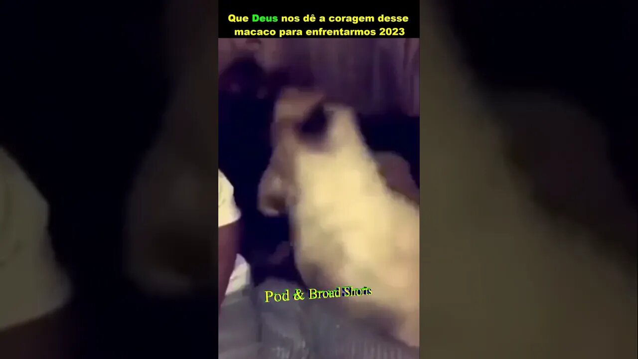 Que Deus nos dê a coragem para enfrentarmos 2023