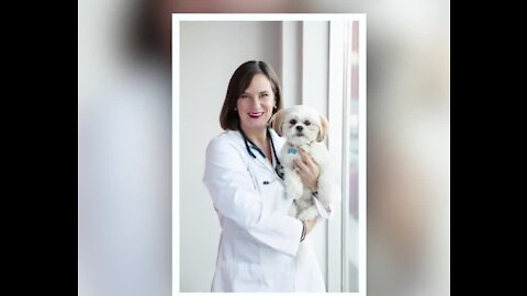 Telehealth for pets