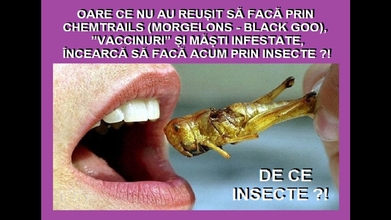 DE CE INSECTE ?!