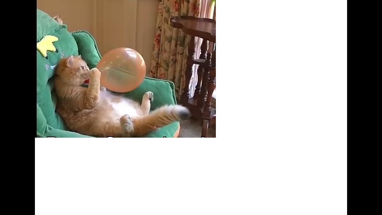 Catty Blast