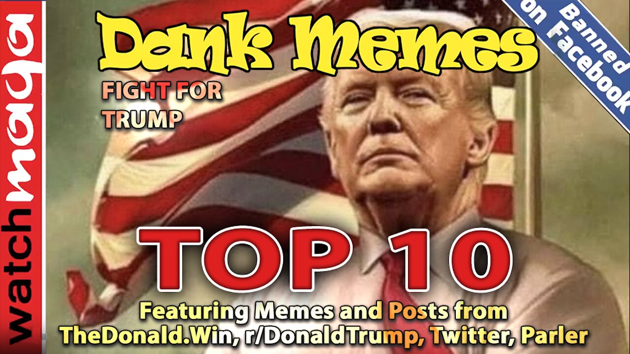 TOP 10 MEMES Fight for Trump