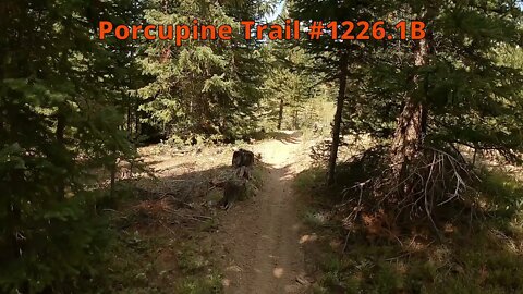 Routt National Forest - Porcupine 1226.1B