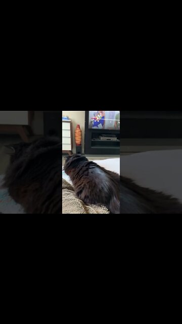 Riley’s Stupor Sleep