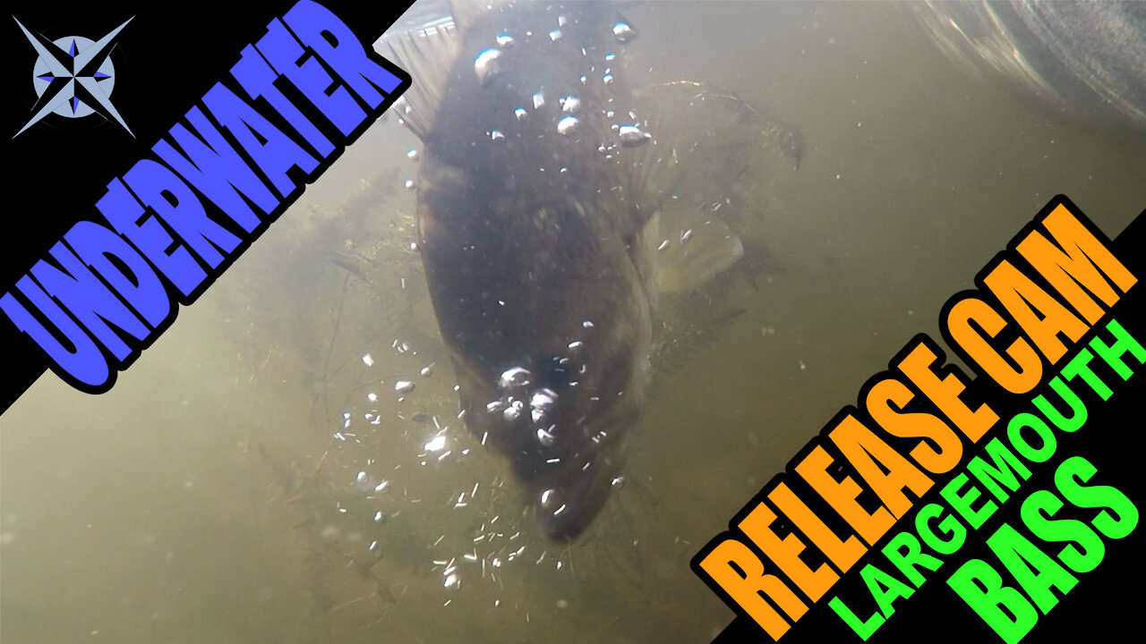 Underwater Slow Motion Largemouth Bass Release with GoPro Hero 7 While Kayak Pike & Bass Fishing