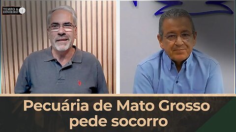 Pecuária de Mato Grosso pede socorro. Qual saída? Entrevista com pres. da Acrimat Oswaldo R. Júnior