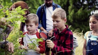 What's The Risk Of A School Field Trip?