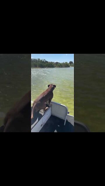 Best Fishing Video 🐟 Amazing Fishing 🔴 BigFishingTV