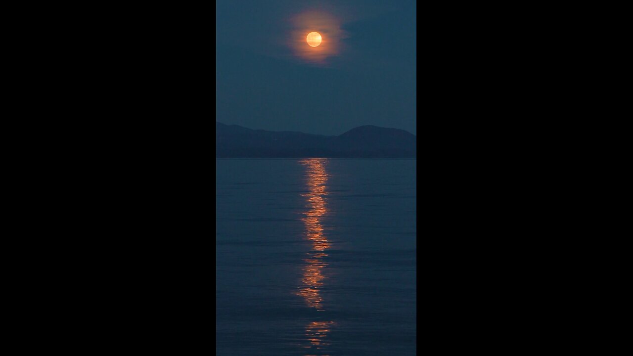 Night view sea water moon