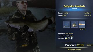 Call of the Wild The Angler Folge 15 Diamant getüpfelter Gabelwels