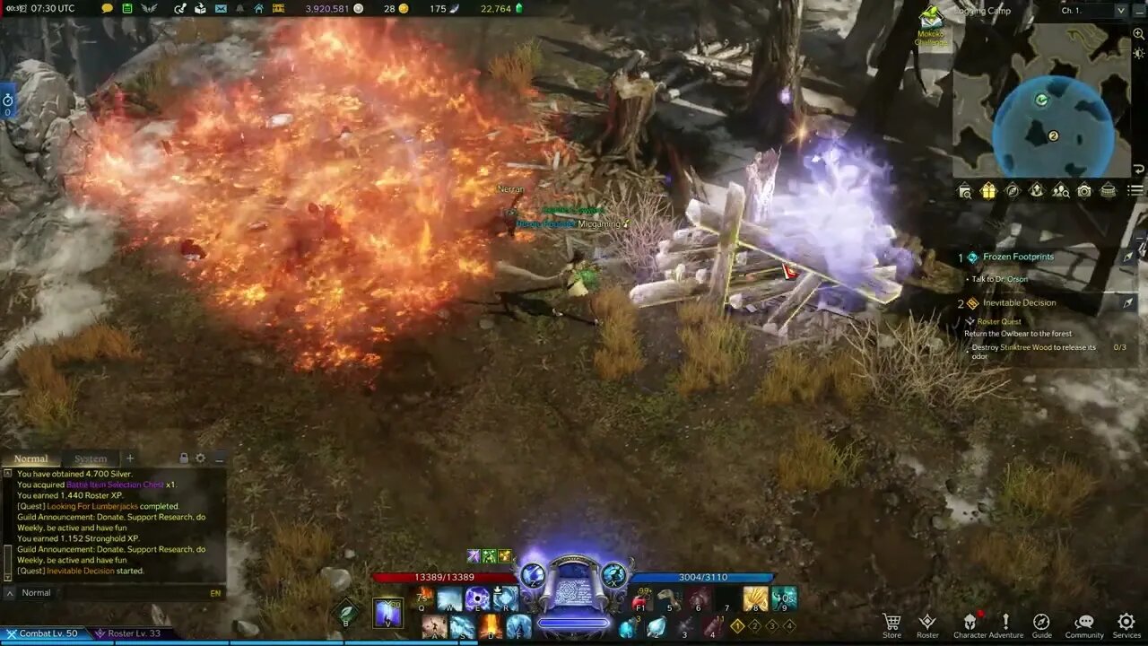 Lost Ark MMORPG Inevitable Decision