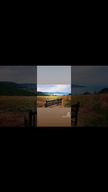 peaceful stillness morning walk