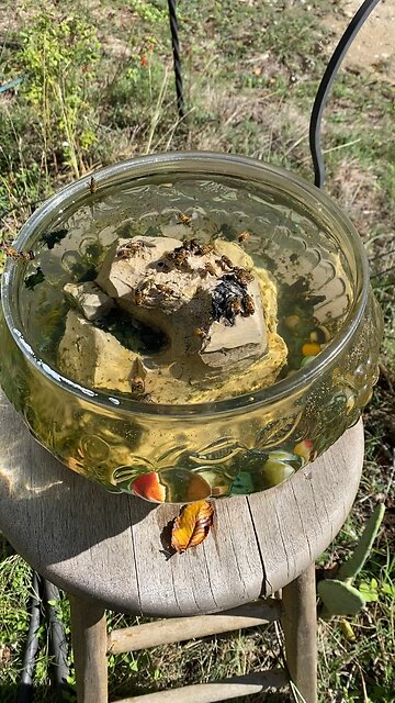 The ever popular water hole.