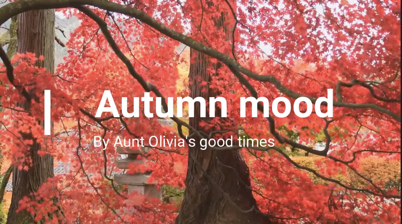 Autumn Mood I Relaxing Smooth Chill Jazz I Working Study Sleep I Calm down I 2 hours