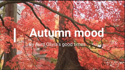 Autumn Mood I Relaxing Smooth Chill Jazz I Working Study Sleep I Calm down I 2 hours