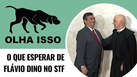 O QUE ESPERAR DE FLÁVIO DINO NO STF