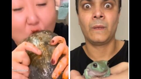 He who has the ability to eat a frog🐸🐢😱🤮