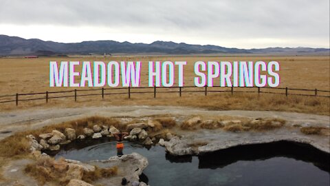 Taking a Golden Retriever to Meadow Hot Springs in Utah