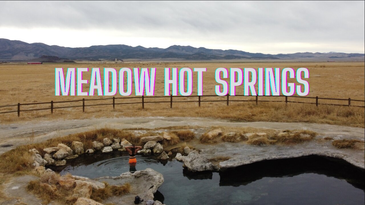Taking a Golden Retriever to Meadow Hot Springs in Utah