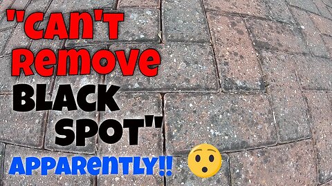 Tired & Neglected Driveway Rejuvenated By Pressure Washing & Soft Washing | One Happy Customer