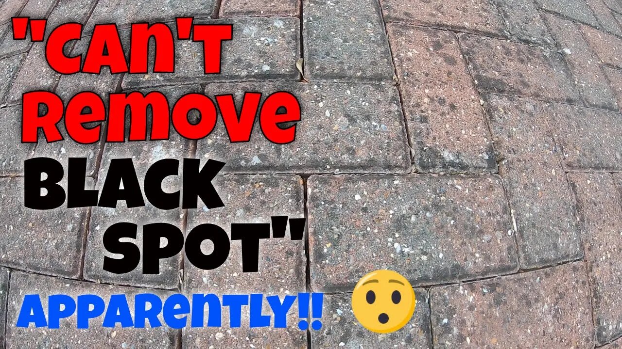Tired & Neglected Driveway Rejuvenated By Pressure Washing & Soft Washing | One Happy Customer