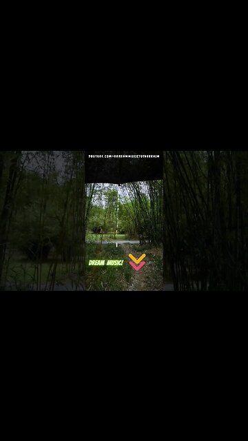 Lluvia Flujendo en un paseo en el campo #flowingwatersound #Relaxation #short #shorts