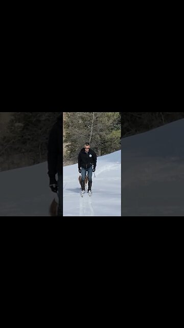 Searching for Sasquatch on Skis with Diamond #shorts