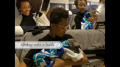 Giving my cats a bath/ shocking!