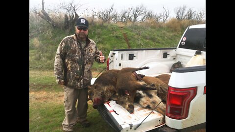 Helicopter Hog Hunt in Texas