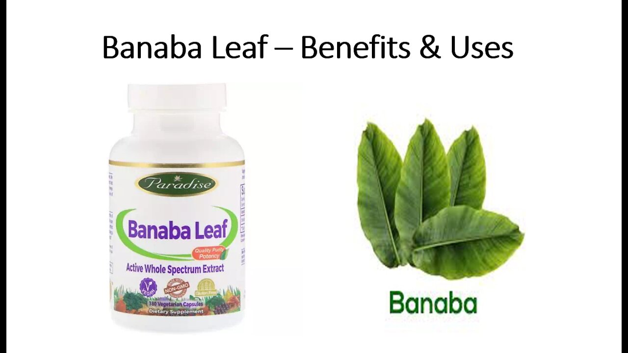 Banaba Benefits - Blood Sugar Control & Diabetes