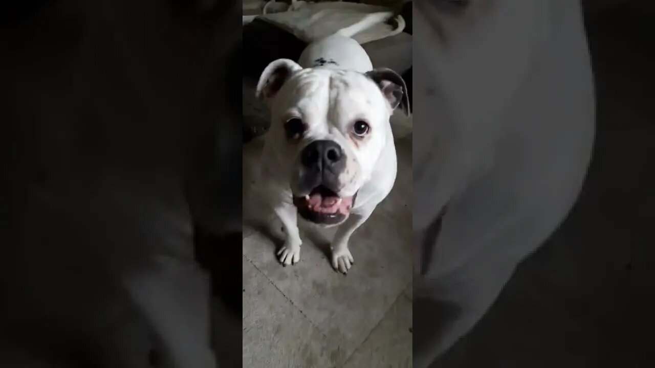 play winnie and Famke