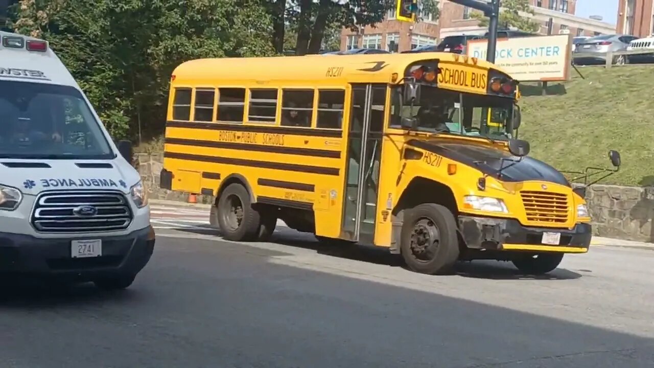 motor vehicle traveling in the bus lane can be very dangerous