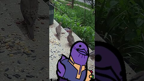 Duck Thanos Visits #Shorts 🤓