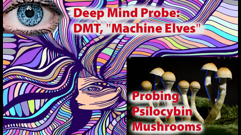 Deep Mind Probe: DMT "Machine Elves" and hallucinogenic mushrooms