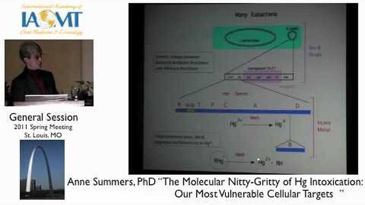 Anne Summers, PhD