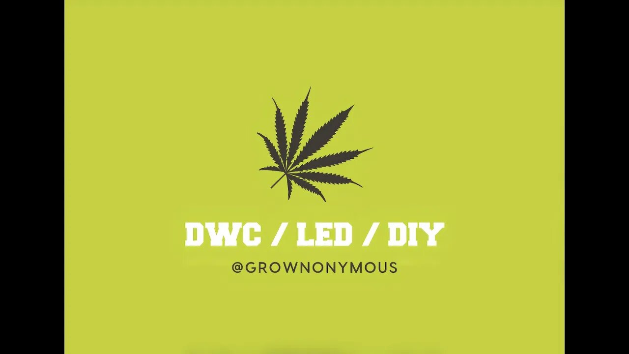 GRAND MASTER LEVEL GROWNONYMOUS #DIY