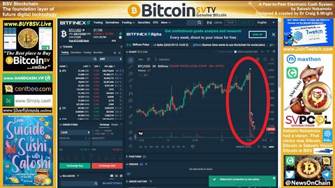 Major evidence in the CSW case?