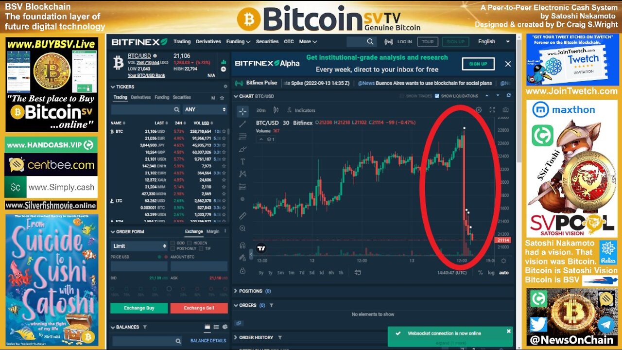 Major evidence in the CSW case?