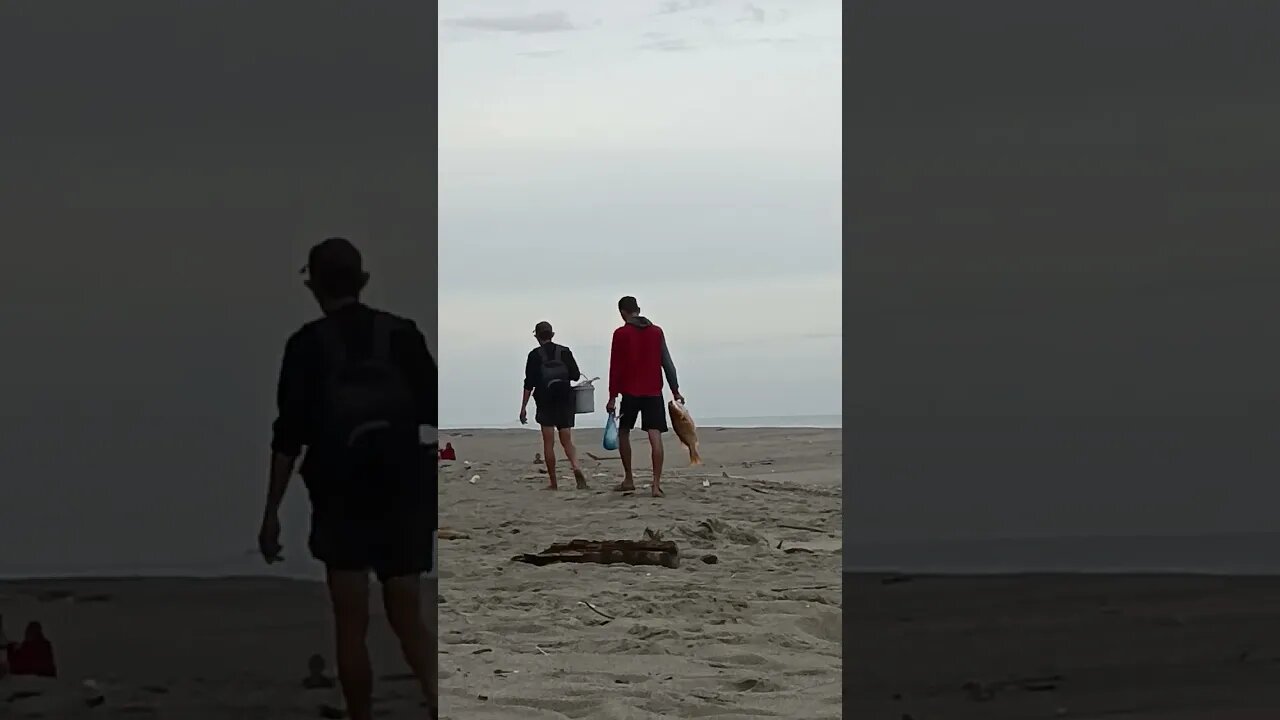 #fish #shortvideo #shortsfeed #fishing #fisherman #fishingequipment
