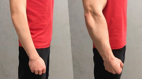 Make Bigger Forearms in 30 DAYS |