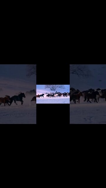 They look twice at their beauty එයාලගේ ලස්සන දෙපාරක් බලනවාමයි वे अपनी खूबसूरती को दो बार देखती हैं❤️