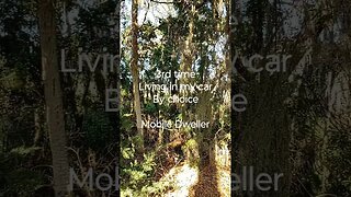 #mobiledweller #carcamping #hobolife #boondock #livinginmycar #suvlife #minimalist