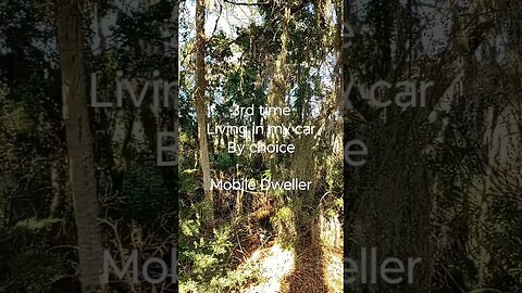 #mobiledweller #carcamping #hobolife #boondock #livinginmycar #suvlife #minimalist