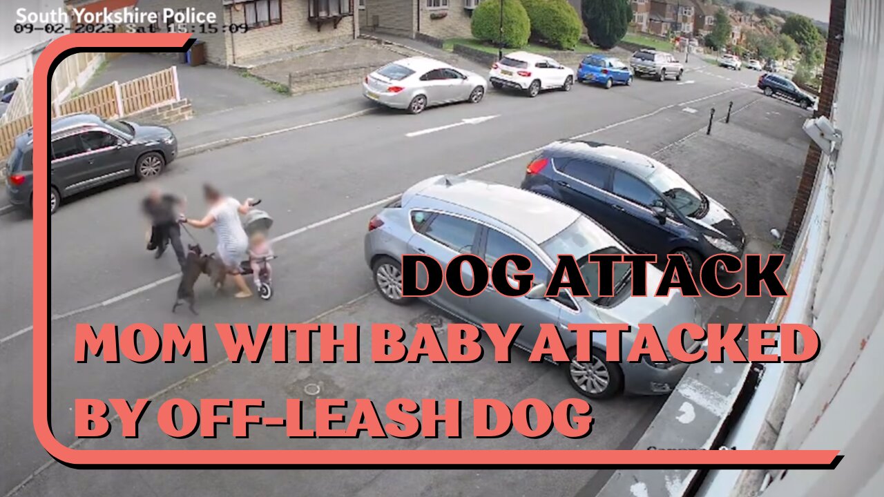 Dog Attack: Mom With Baby Attacked By Off-Leash Dog, How to Defend Against Off-Leash Dog Attack