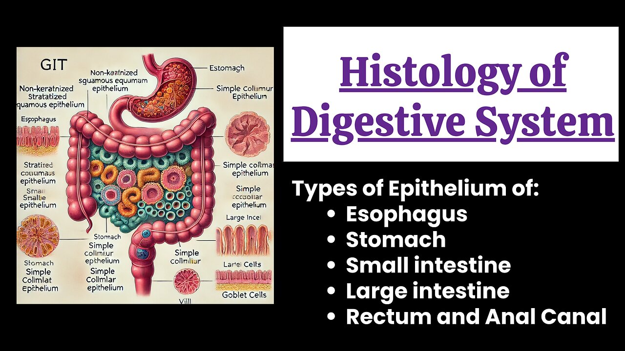 Types of Epithelium in the Gastrointestinal Tract (GIT) | Complete Overview