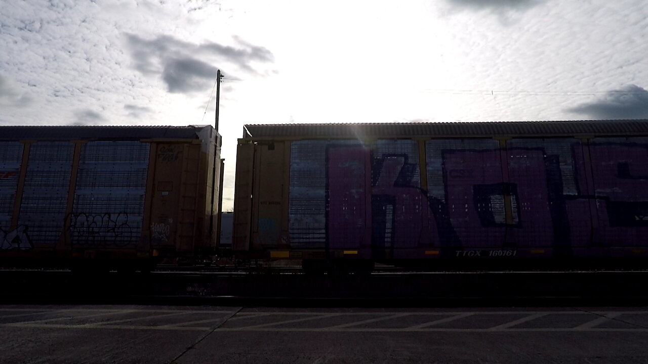 Autoracks Train 274 CN 3002 Locomotive Eastbound In Ontario Nov 16 2021